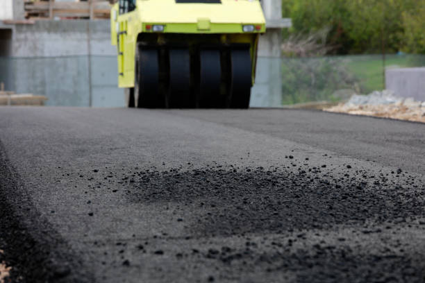 Best Local Driveway Pavers  in Crystal Lake, IL